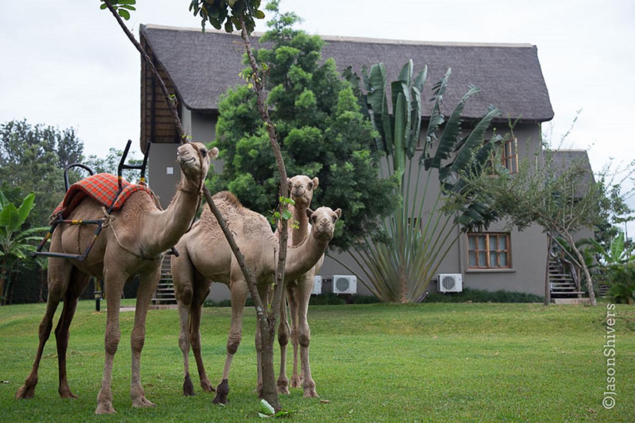 Weru Weru River Lodge Εξωτερικό φωτογραφία