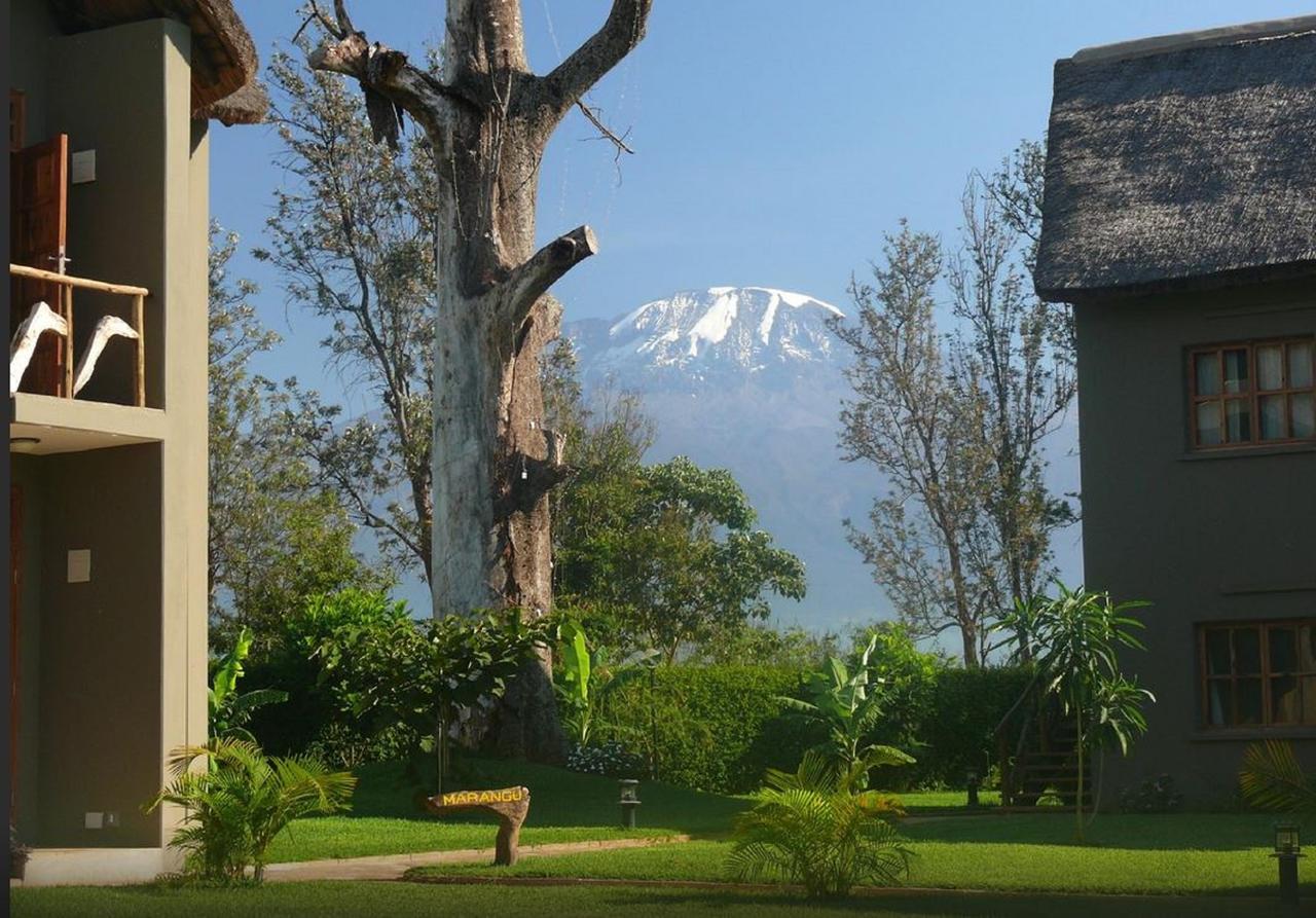 Weru Weru River Lodge Εξωτερικό φωτογραφία