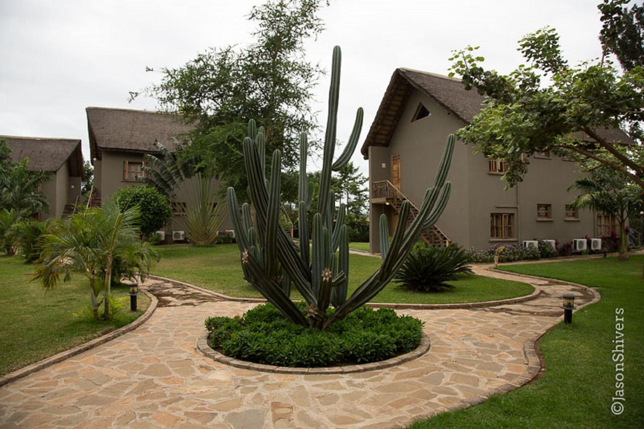 Weru Weru River Lodge Εξωτερικό φωτογραφία